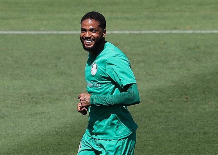 Palmeiras